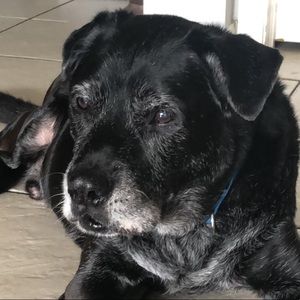 Meet your Posher, Denise